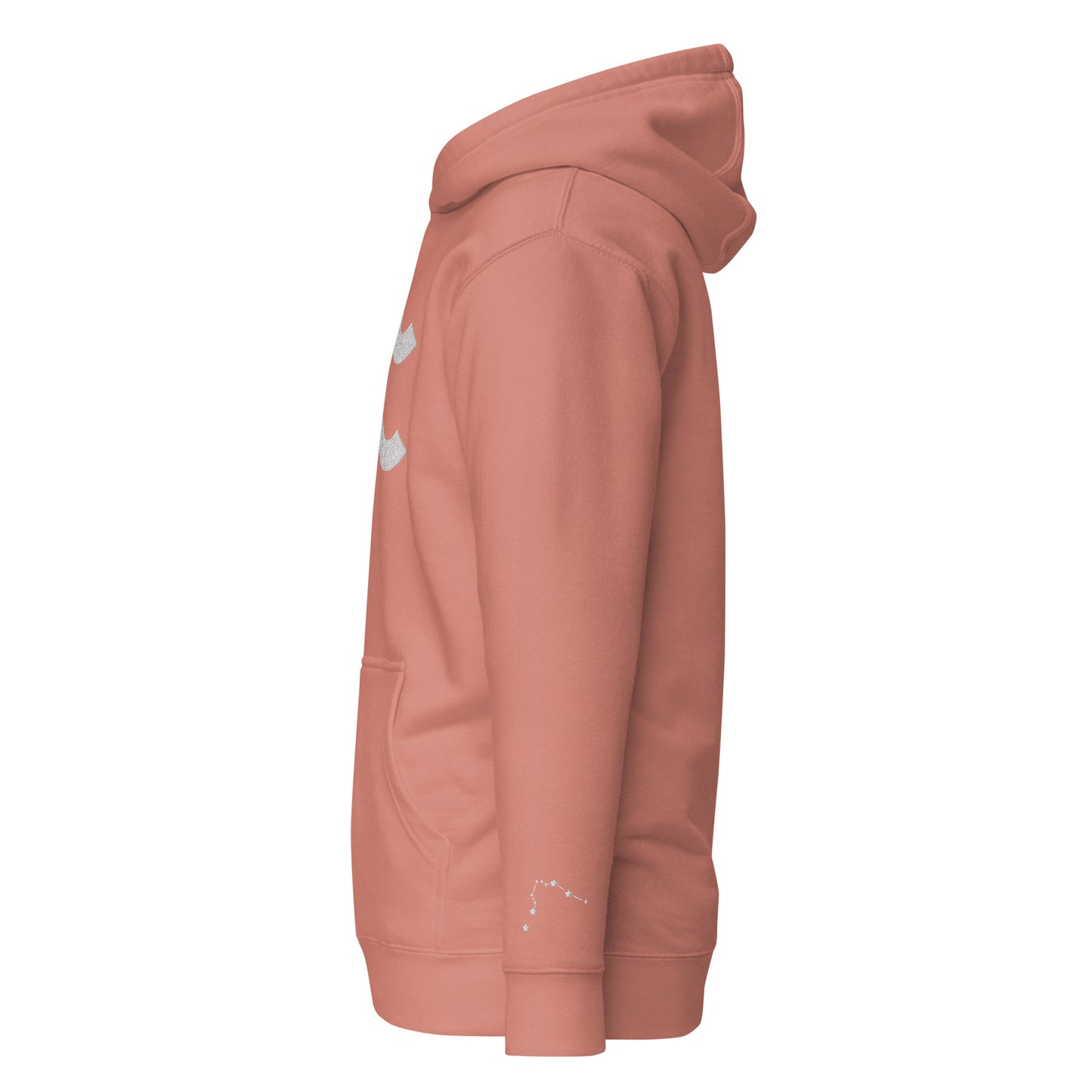 Aquarius Signature Embroidered Hoodie