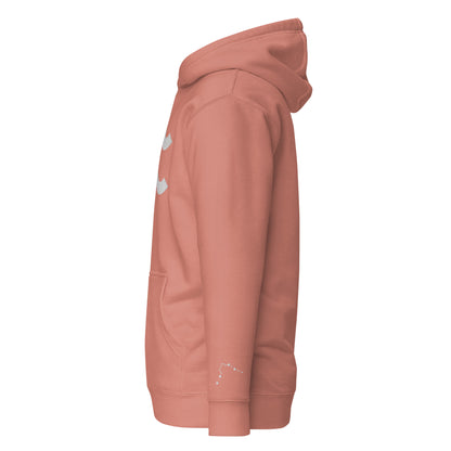 Aquarius Signature Embroidered Hoodie